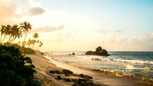Sri Lanka mineral sands