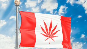asx cannabis me1