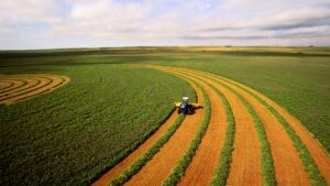 Criterion: For resolute investors, the right ag stocks will yield a decent harvest