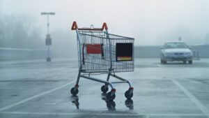 Breaking up the big supermarkets? This fund manager and Woolies investor says… worth a shot